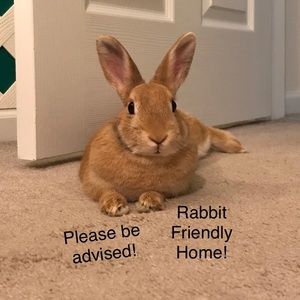 Meet your Posher, Madeline